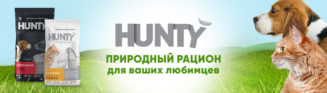 19_hunty_2.png