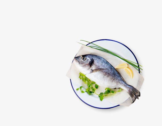 Рыба, икра, морепродукты