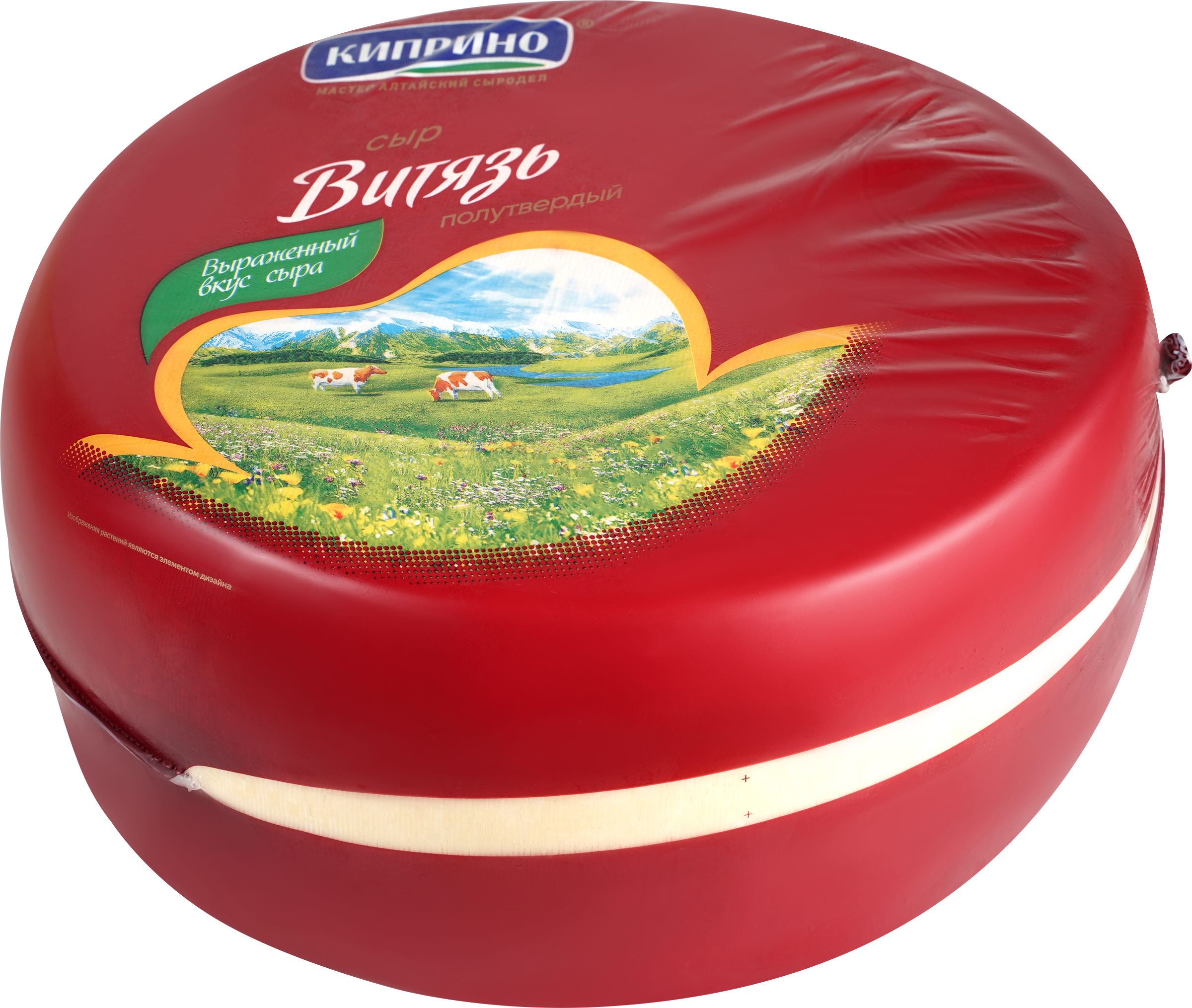 Изображение товара Сыр КИПРИНО Витязь 50% без змж, весовой - пряный полутвердый сыр Изображение товара Сыр КИПРИНО Витязь 50% без змж, весовой - пряный полутвердый сыр