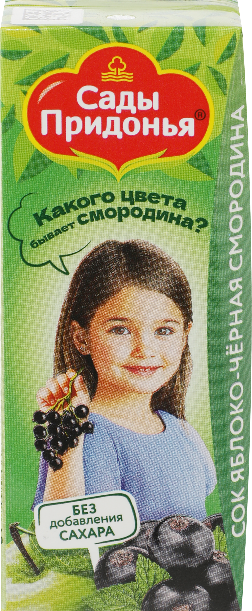 Изображение товара Сок САДЫ ПРИДОНЬЯ Яблоко, черная смородина, с 5 месяцев, 200мл Изображение товара Сок САДЫ ПРИДОНЬЯ Яблоко, черная смородина, с 5 месяцев, 200мл