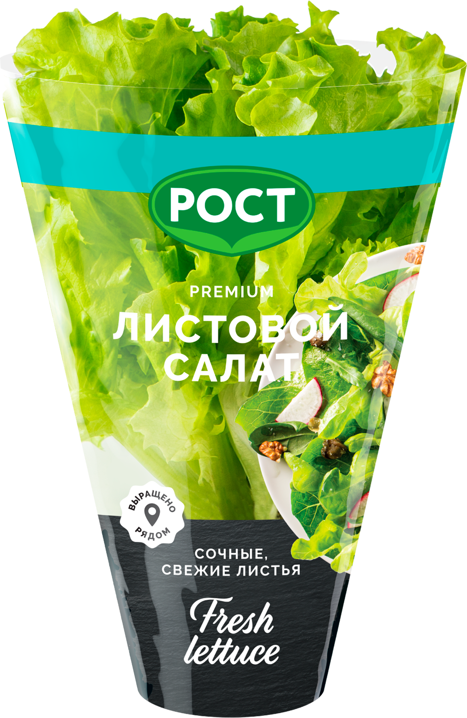 Изображение товара Салат листовой, в горшочке Изображение товара Салат листовой, в горшочке