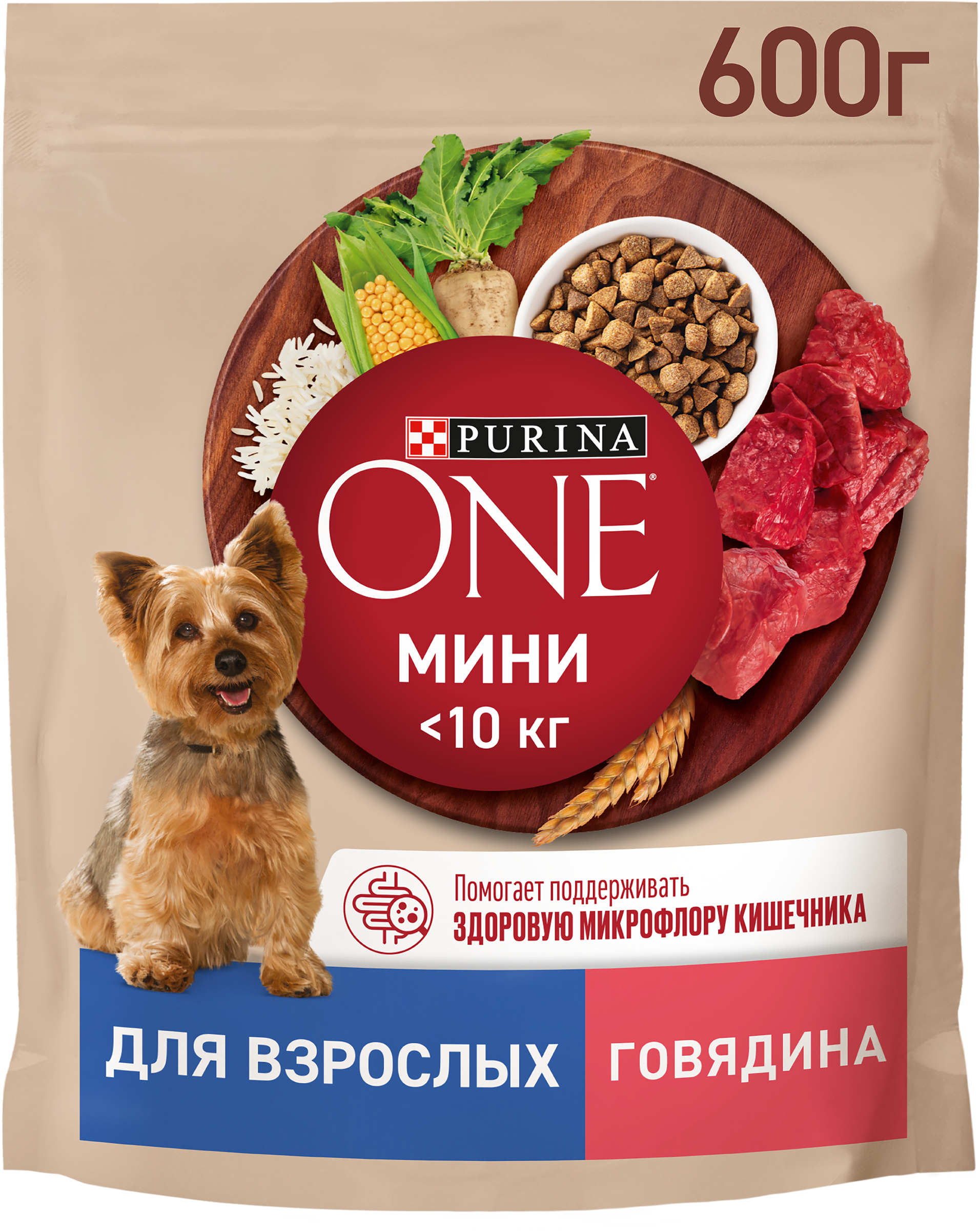 Изображение товара Корм сухой PURINA ONE Говядина для взрослых собак мелких пород 600г Изображение товара Корм сухой PURINA ONE Говядина для взрослых собак мелких пород 600г