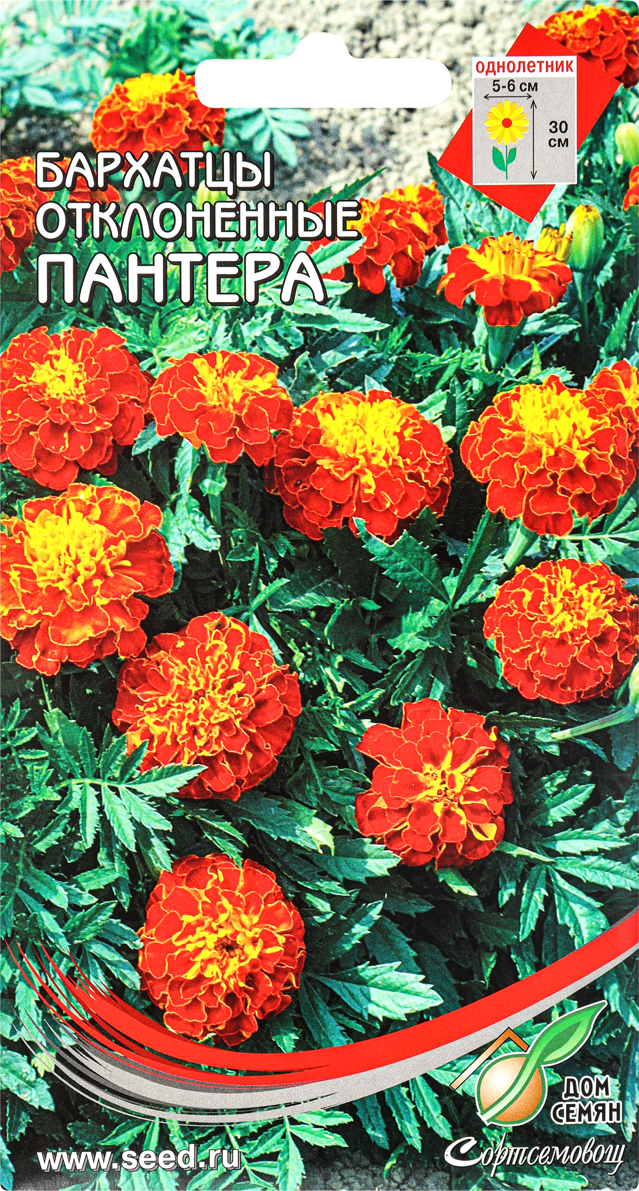 Изображение товара Семена ДОМ СЕМЯН Бархатцы (Тагетес) Пантера, 0,43г Изображение товара Семена ДОМ СЕМЯН Бархатцы (Тагетес) Пантера, 0,43г