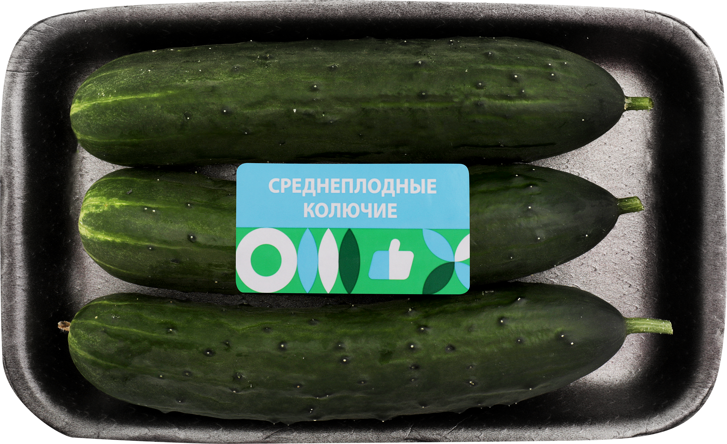 Изображение товара Тепличные колючие среднеплодные огурцы 600 г - свежие, хрустящие и вкусные Изображение товара Тепличные колючие среднеплодные огурцы 600 г - свежие, хрустящие и вкусные