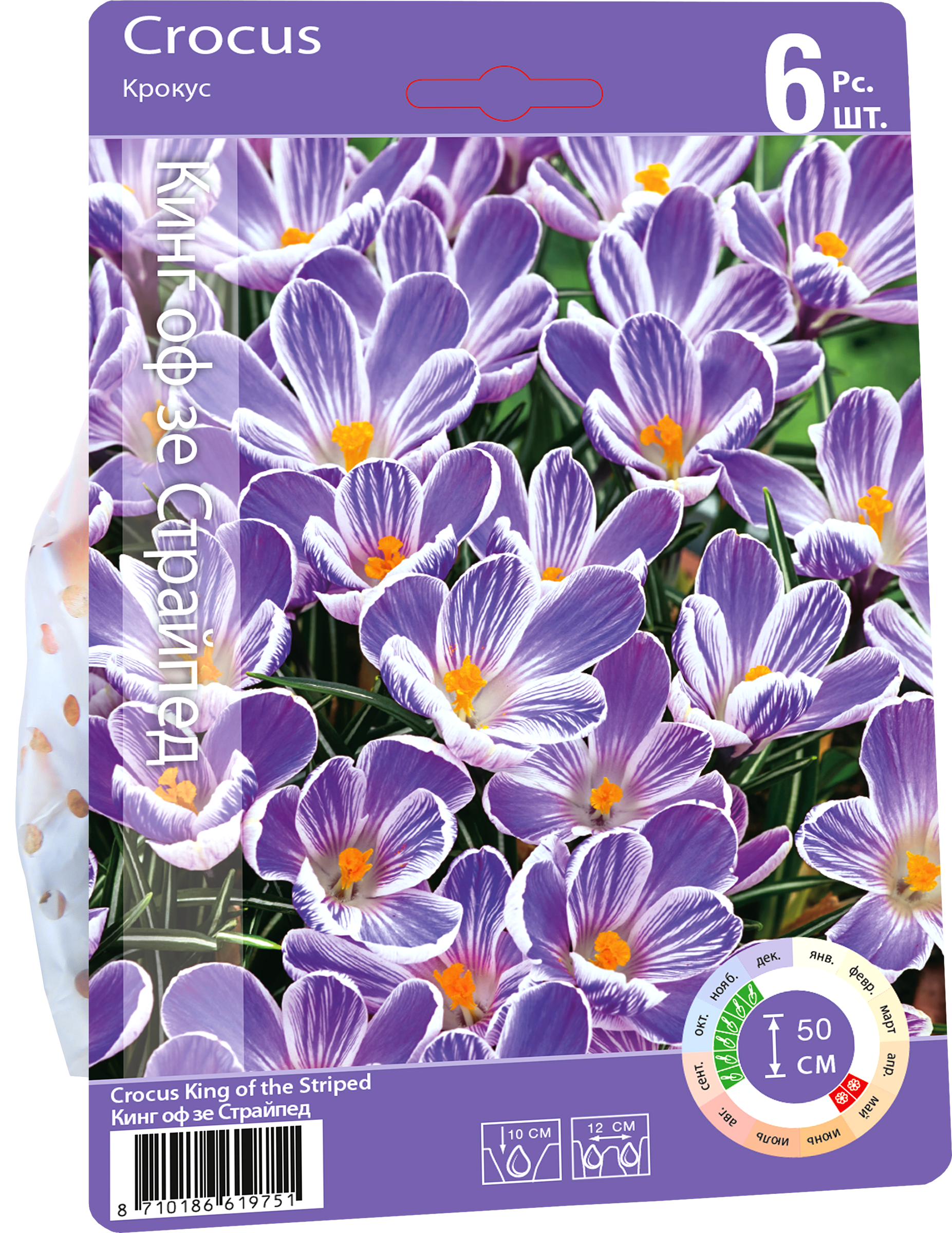 Изображение товара Луковицы Крокус Кинг оф зе Страйпед 8/9, Арт. 607, 6шт