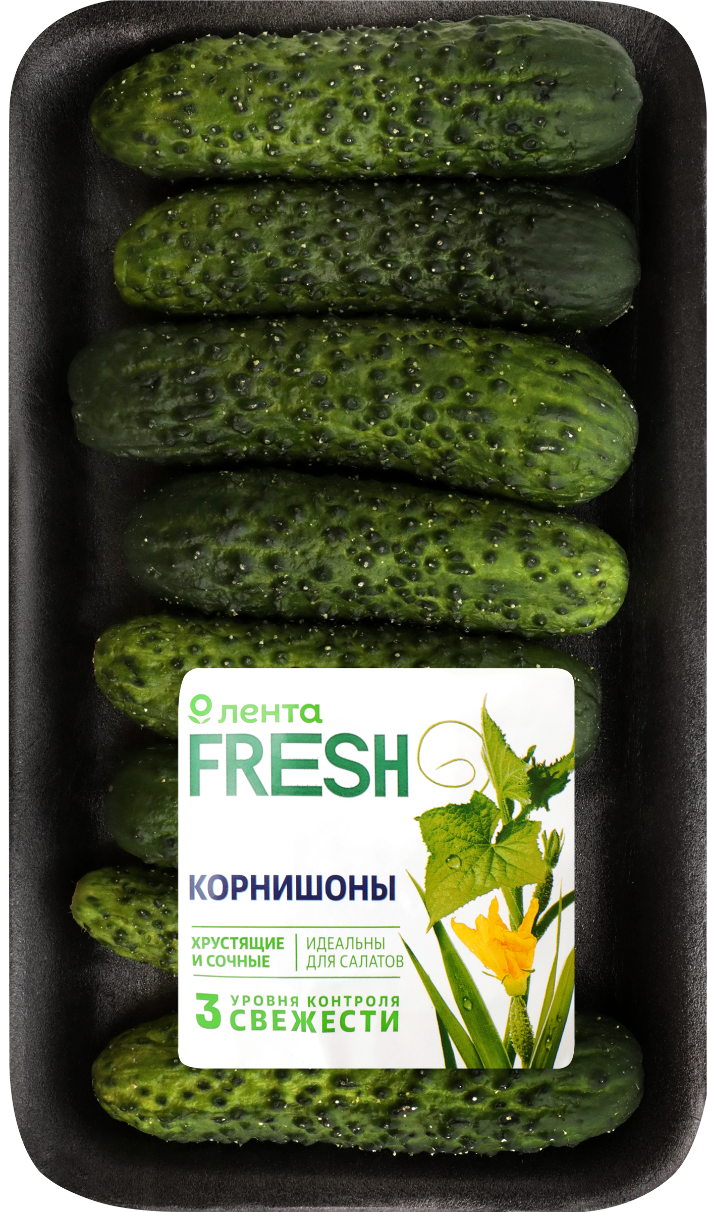 Изображение товара Огурцы корнишоны ЛЕНТА FRESH 300 г с бугорчатой кожурой свежие