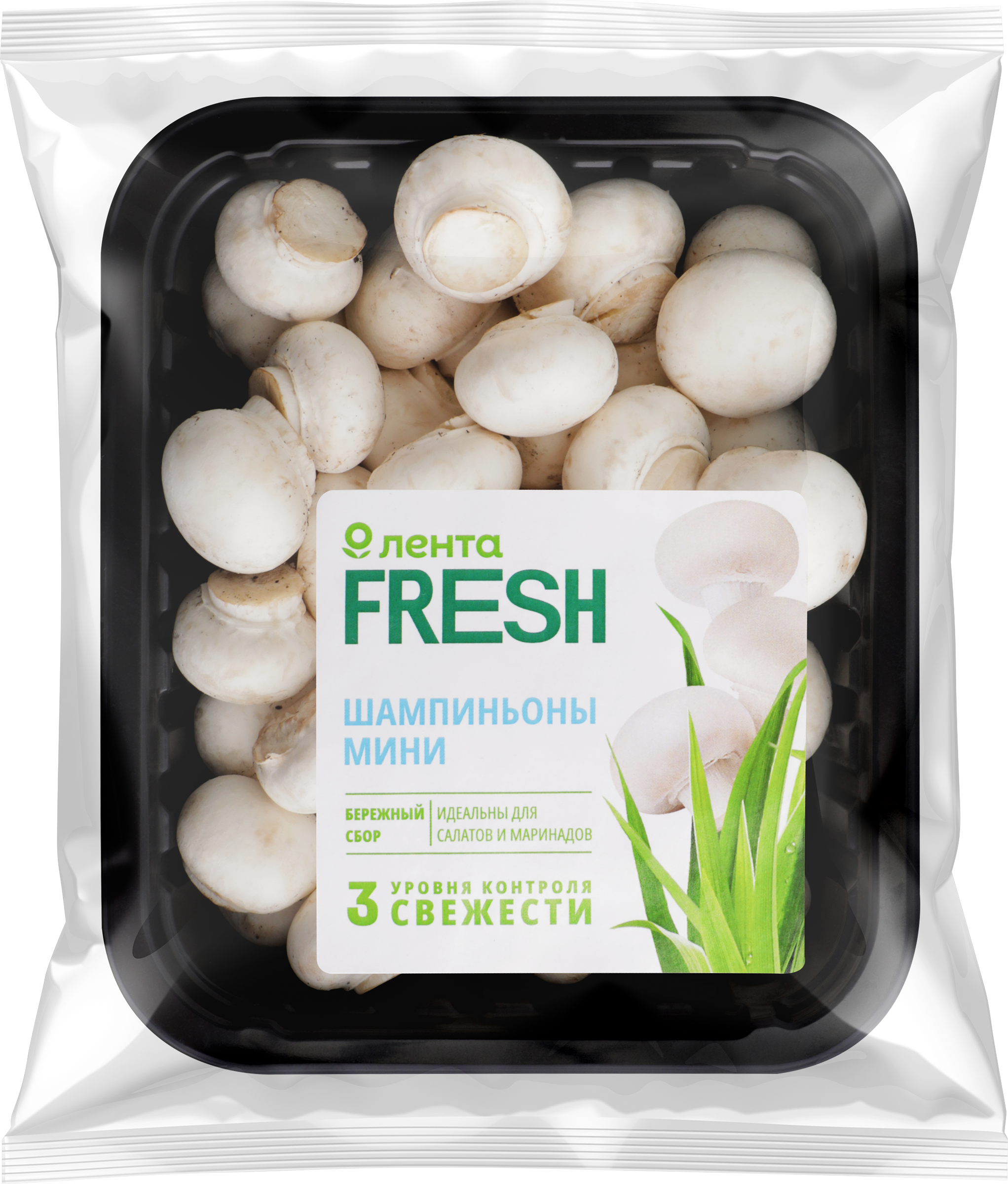 Изображение товара Мини шампиньоны ЛЕНТА FRESH высший сорт - свежие и ароматные, 300 г Изображение товара Мини шампиньоны ЛЕНТА FRESH высший сорт - свежие и ароматные, 300 г