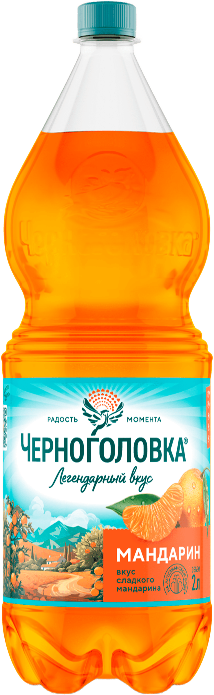 Изображение товара Напиток ЧЕРНОГОЛОВКА Мандарин сильногазированный 2л Изображение товара Напиток ЧЕРНОГОЛОВКА Мандарин сильногазированный 2л