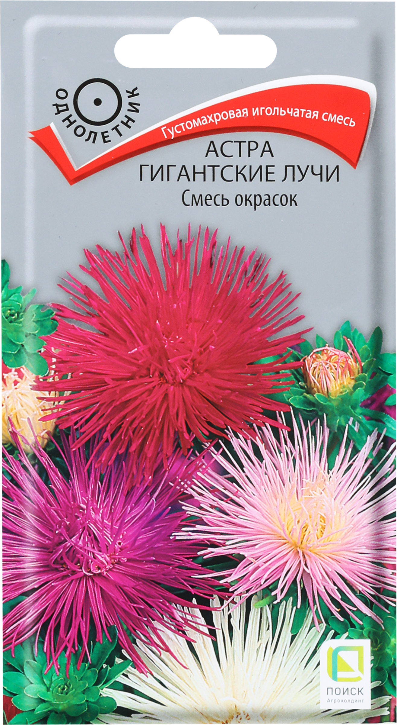 Изображение товара Семена Астра Гигантские лучи смесь 0,3г для цветника и срезки Изображение товара Семена Астра Гигантские лучи смесь 0,3г для цветника и срезки