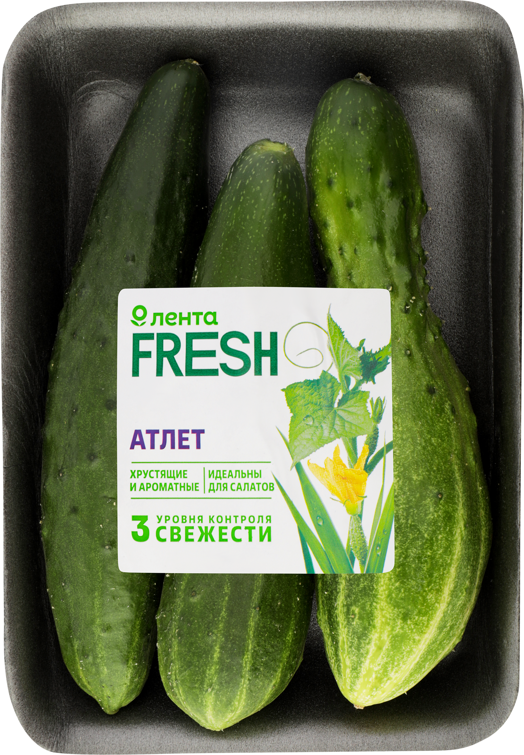 Изображение товара Огурцы ЛЕНТА FRESH Атлет 450 г - свежие и хрустящие для салатов и закусок Изображение товара Огурцы ЛЕНТА FRESH Атлет 450 г - свежие и хрустящие для салатов и закусок