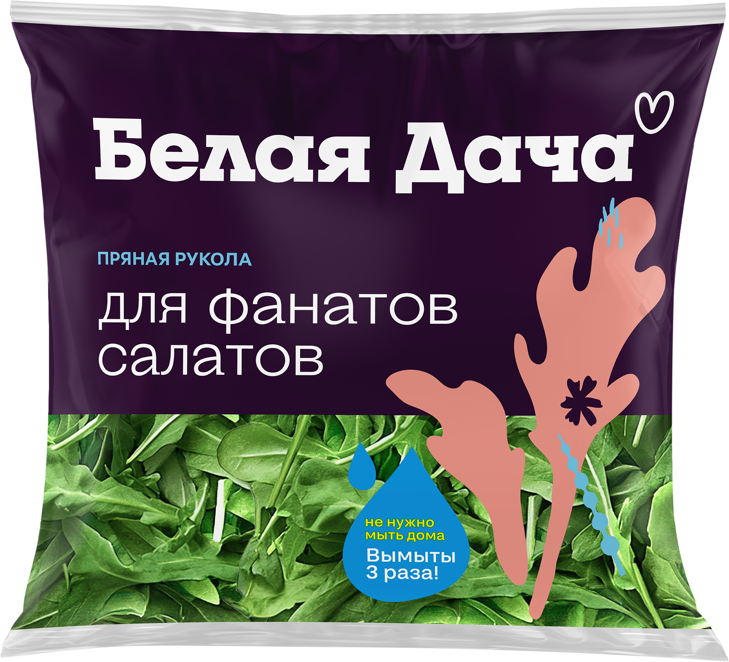 Изображение товара Свежая рукола БЕЛАЯ ДАЧА пряная 50г для салатов и закусок Изображение товара Свежая рукола БЕЛАЯ ДАЧА пряная 50г для салатов и закусок