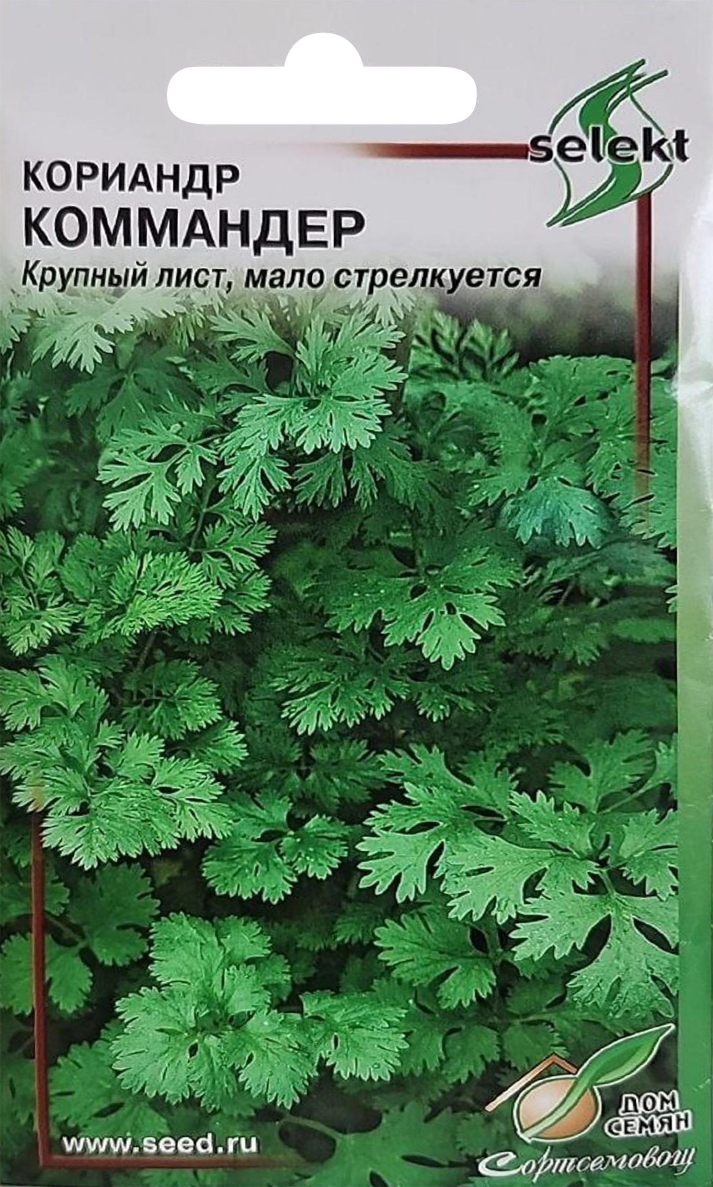 Изображение товара Семена ДОМ СЕМЯН Кориандр Коммандер, 4г Изображение товара Семена ДОМ СЕМЯН Кориандр Коммандер, 4г