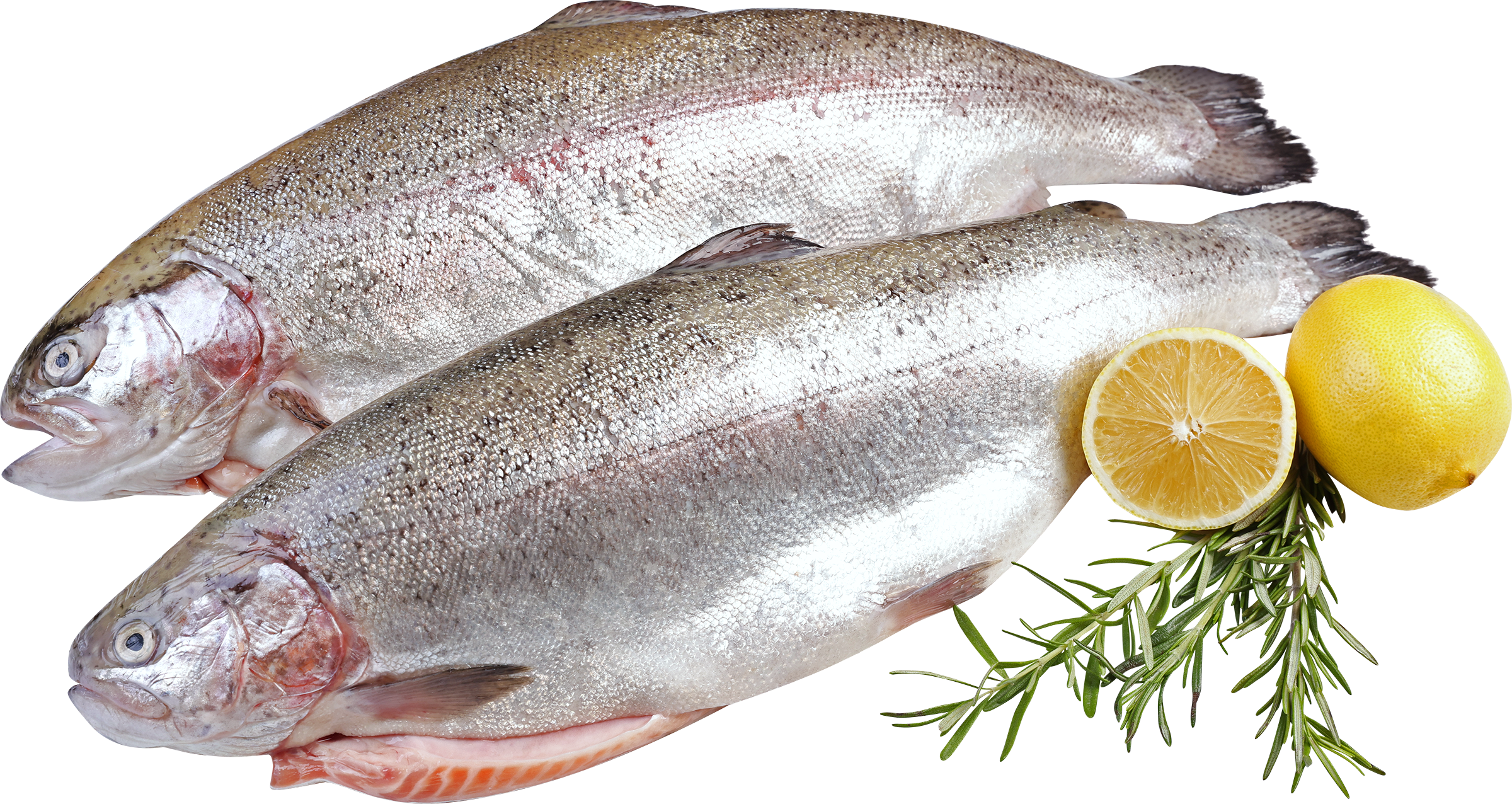Изображение товара Форель Радужная ЛЕНТА FRESH потрошеная с головой 2-4 кг Изображение товара Форель Радужная ЛЕНТА FRESH потрошеная с головой 2-4 кг