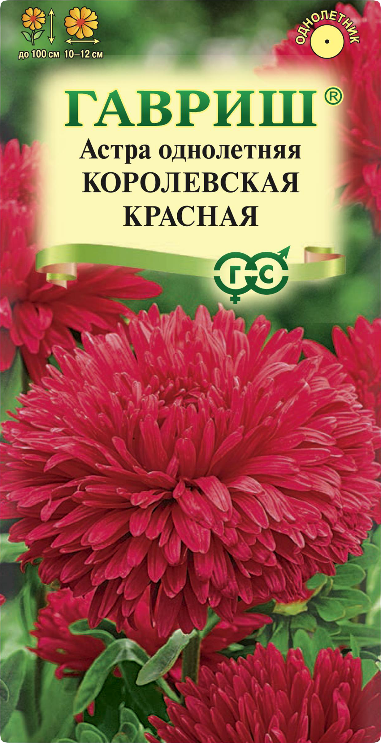 Изображение товара Семена ГАВРИШ Астра однолетняя Королевская красная 0,3г для посева в грунт Изображение товара Семена ГАВРИШ Астра однолетняя Королевская красная 0,3г для посева в грунт