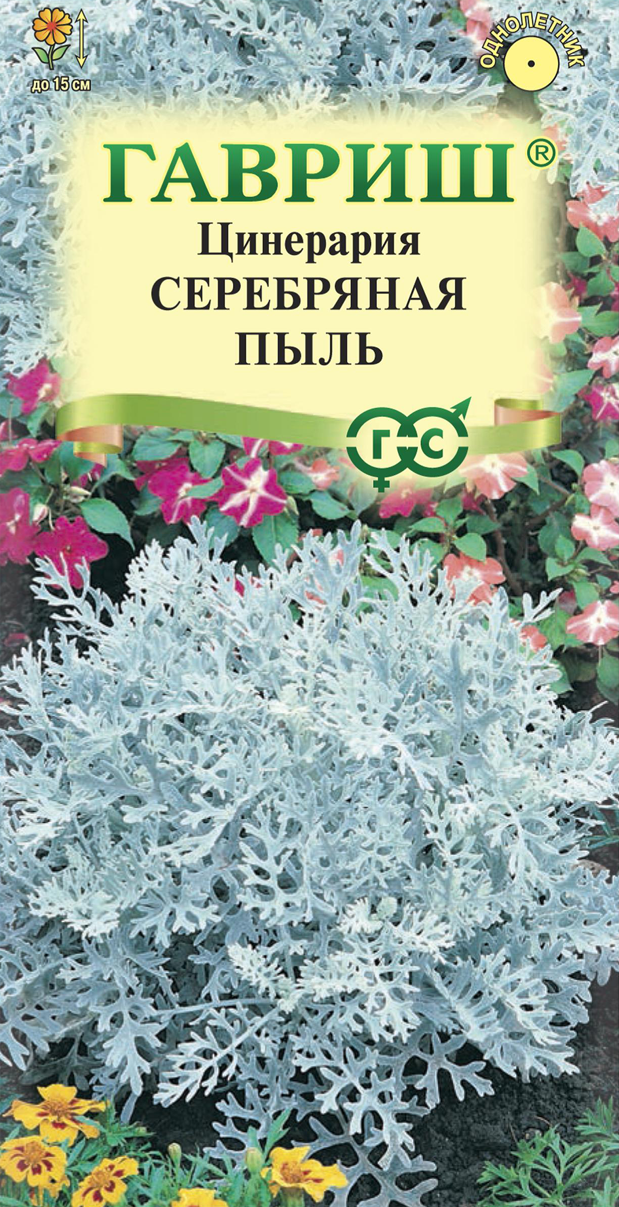 Изображение товара Семена ГАВРИШ Цинерария приморская Серебряная пыль 0,05г для декорирования сада Изображение товара Семена ГАВРИШ Цинерария приморская Серебряная пыль 0,05г для декорирования сада