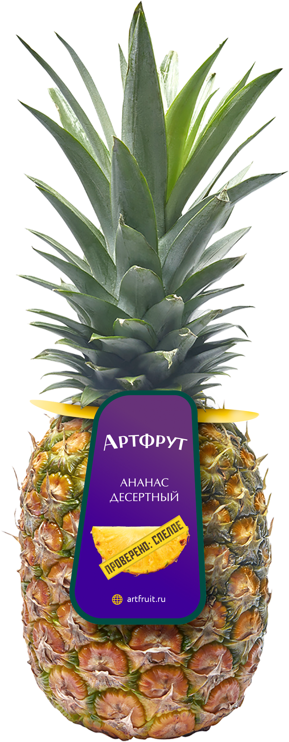 Изображение товара Ананас АРТФРУТ спелый - премиум, Коста-Рика, 0, 5 кг Изображение товара Ананас АРТФРУТ спелый - премиум, Коста-Рика, 0, 5 кг