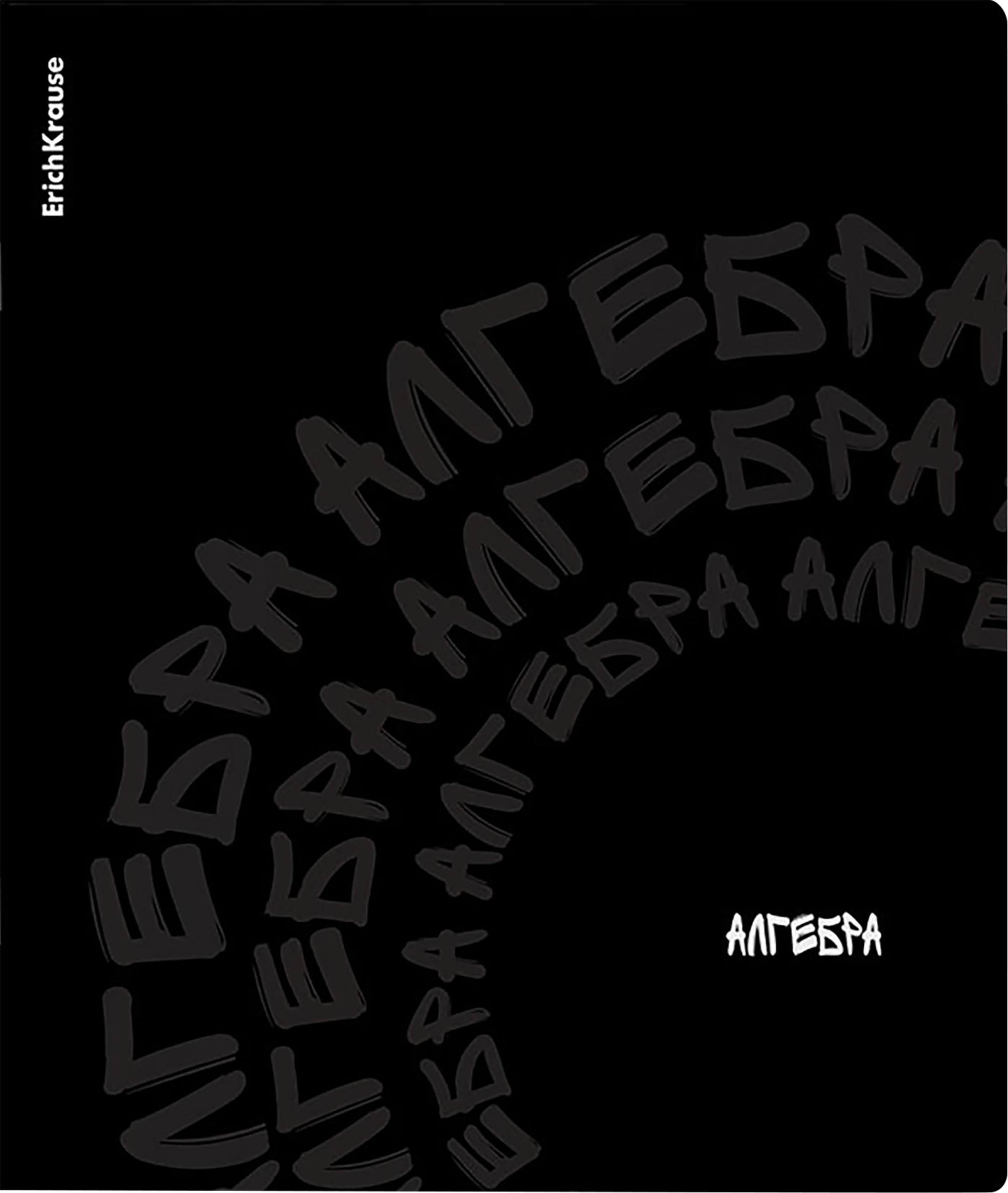 Изображение товара Тетрадь общая ученическая ERICHKRAUSE Графит, Алгебра, 48 листов, в клетку