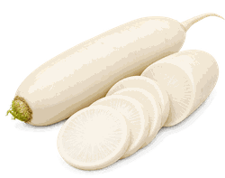Редька Дайкон, весовая, крупный план