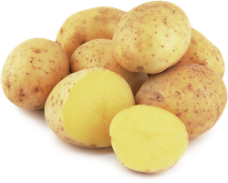 Картофель белый мытый, весовой, крупный план