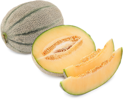 Дыня Канталуп, весовая, изображение