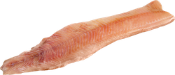 Щука, филе без кожи, весовая, вид
