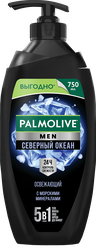 Гель для душа мужской PALMOLIVE Men Северный океан с морскими минералами 3в1, 750мл, крупный план