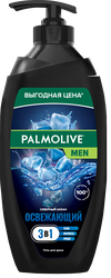 Гель для душа мужской PALMOLIVE Men Северный океан с морскими минералами 3в1, 750мл, изображение