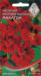 Семена Настурция высокая махровая Махагон, картинка