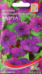 Семена ДОМ СЕМЯН Петуния гибридная, в ассортименте, 0,01г, крупный план