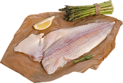 Пангасиус ЛЕНТА FRESH филе (из замороженного сырья), весовой, крупный план