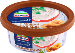 Сыр творожный HOCHLAND с лесными грибами 60%, без змж, 140г, крупный план