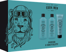 Набор подарочный мужской EDEN For men №2, Шампунь + Гель для душа + Гель для бритья, изображение