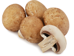 Шампиньоны Королевские, весовые, картинка