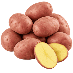 Картофель красный, фасованный, весовой, изображение