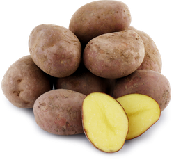 Картофель красный, фасованный, весовой, фотография