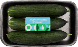 Огурцы тепличные колючие среднеплодные, 600г, картинка