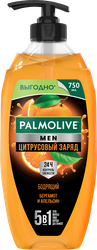 Гель для душа мужской PALMOLIVE Men Цитрусовый заряд Бодрящий 2в1, 750мл, фотография