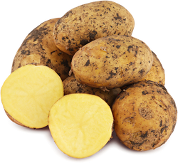 Картофель белый молодой, весовой, вид
