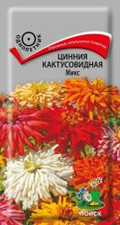 Семена ПОИСК Цинния кактусовидная Микс, крупный план