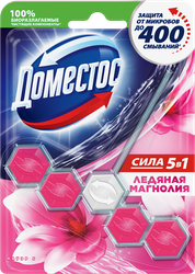 Блок для унитаза ДОМЕСТОС Power 5 Ледяная магнолия, 55г, вид