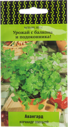 Семена ПОИСК Кориандр Авангард, 1г, крупный план