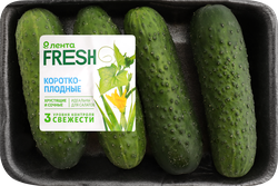Огурцы короткоплодные ЛЕНТА FRESH колючие, 450г, вид