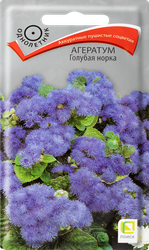 Семена ПОИСК Агератум Голубая норка, 0,5г, фото