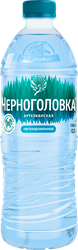 Вода питьевая ЧЕРНОГОЛОВКА артезианская негазированная, 0.5л, изображение