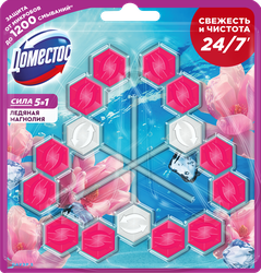 Блок для унитаза ДОМЕСТОС Trio Power 5 Ледяная магнолия, 3х55г, картинка
