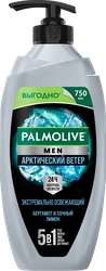 Гель-шампунь для душа мужской PALMOLIVE Men Арктический ветер 3в1, 750мл, фотография