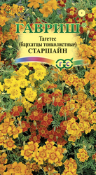 Семена ГАВРИШ Бархатцы тонколистные Старшайн, смесь, Арт. 005646, 0,05г, вид