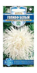 Семена ГАВРИШ Русский богатырь, Астра Голиаф игольчатая, белая, Арт. 1999949489, 0,3г, крупный план