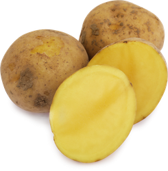 Картофель белый новый урожай, фасованный, весовой, крупный план