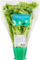 Салат листовой, в горшочке, вид
